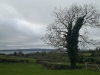 shannon-view