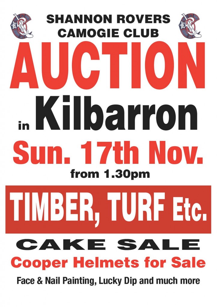 Shannon-Rovers-Camogie-Auction